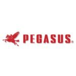 PEGASUS MAQUINAS DE COSER